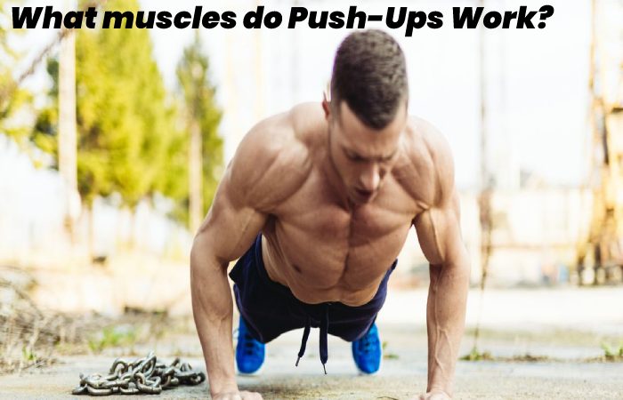 What muscles do Push-Ups Work?
