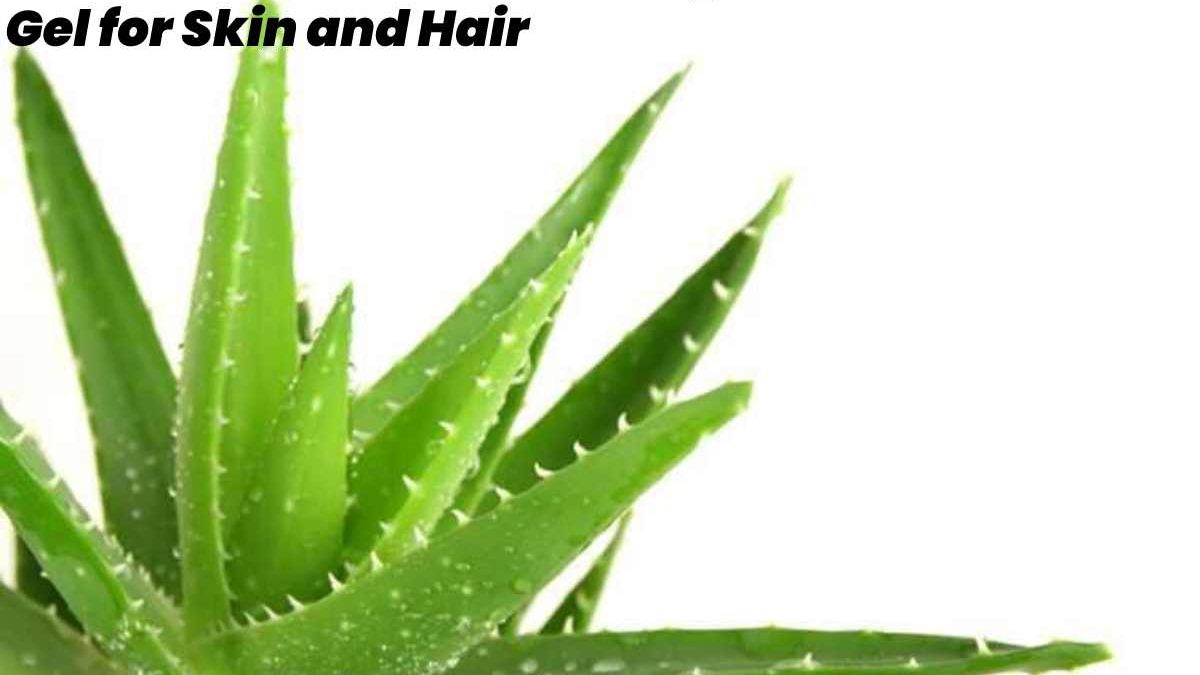 What is Aloe Vera Gel? – Usages of Aloe Vera Gel for Skin and Hair