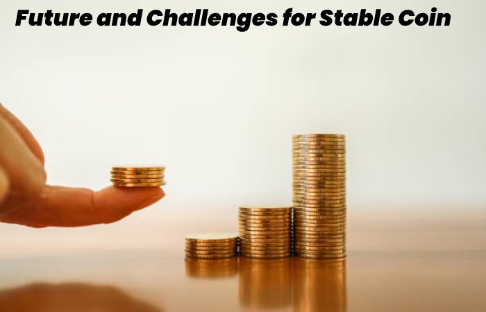 Future and Challenges for Stable Coin