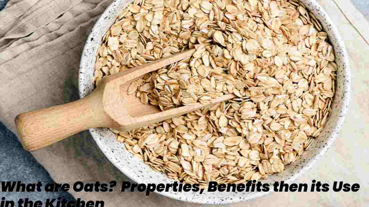 What are Oats? – Properties, Benefits then its Use in the Kitchen