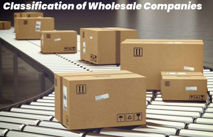 Classification of Wholesale Companies