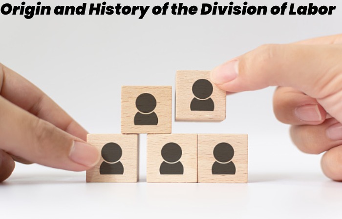Origin and History of the Division of Labor