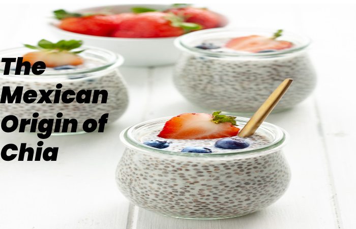 The Mexican Origin of Chia