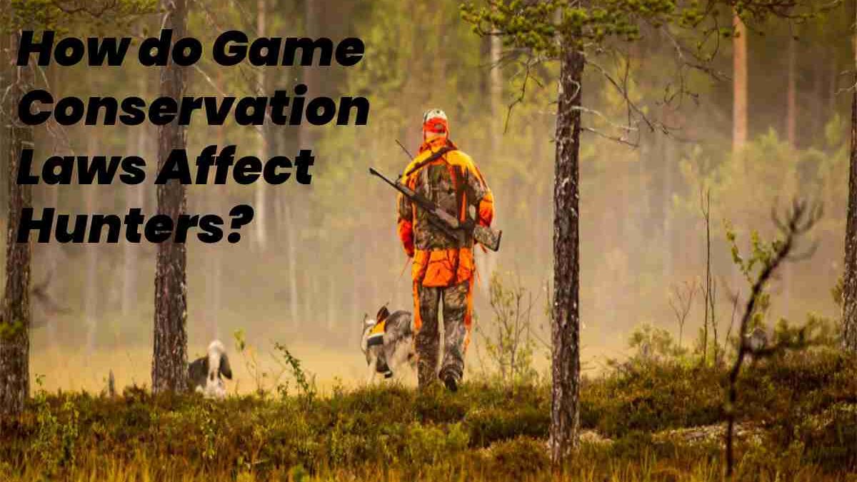 How do Game Conservation Laws Affect Hunters?