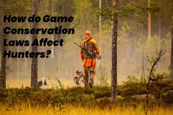 how do game conservation laws affect hunters?