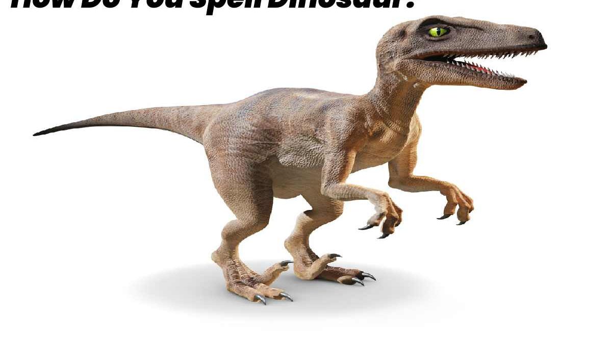 How Do You Spell Dinosaur?  