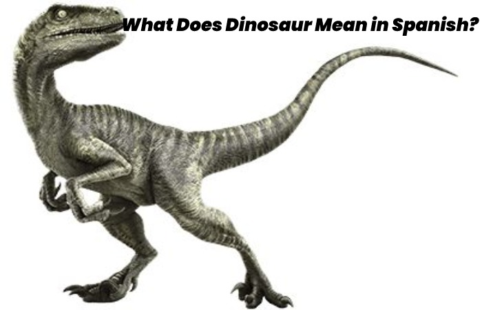 What Does Dinosaur Mean in Spanish?