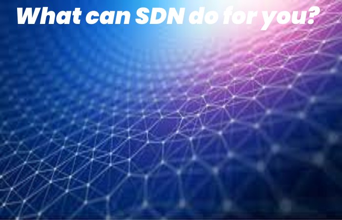 What can SDN do for you?