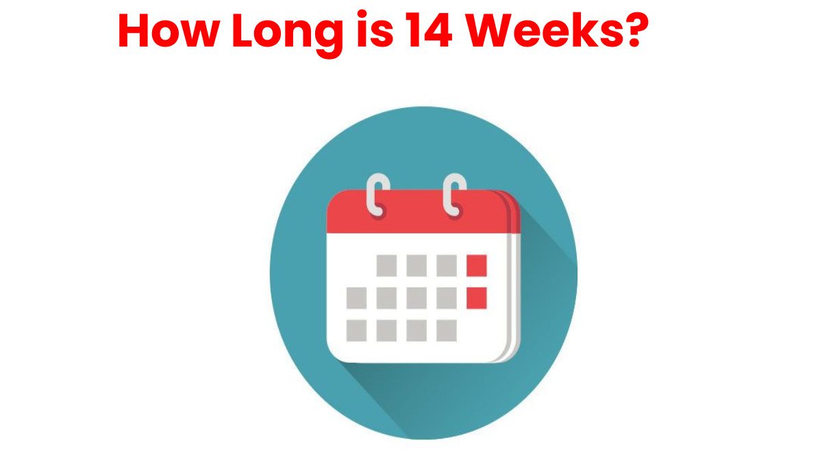 How Long is 14 Weeks?