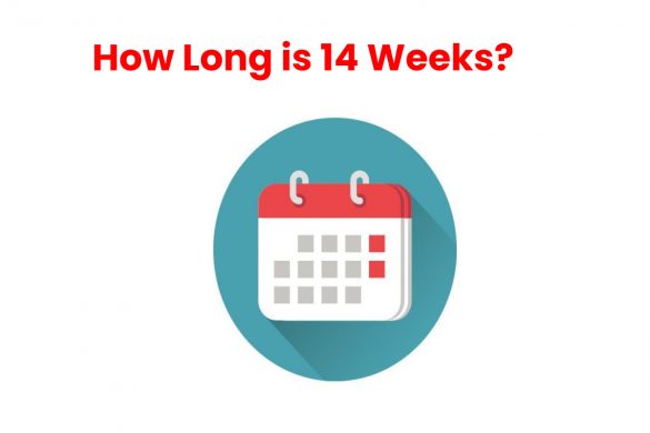 how long is 14 weeks