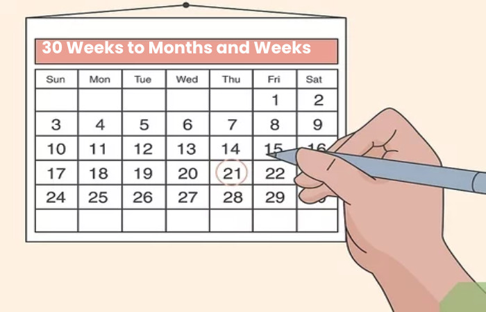 30 Weeks to Months and Weeks
