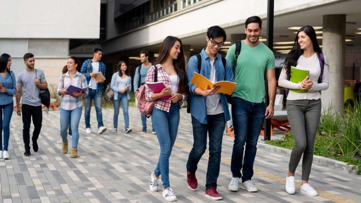 11admission .org.in (11th admission org.in)
