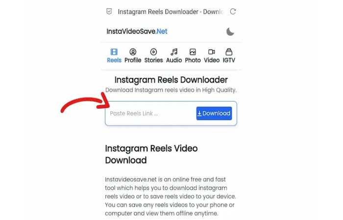 How to Download Instagram Reels Videos Online_ (1)