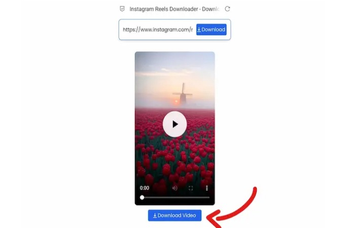 How to Download Instagram Reels Videos Online_ (2)