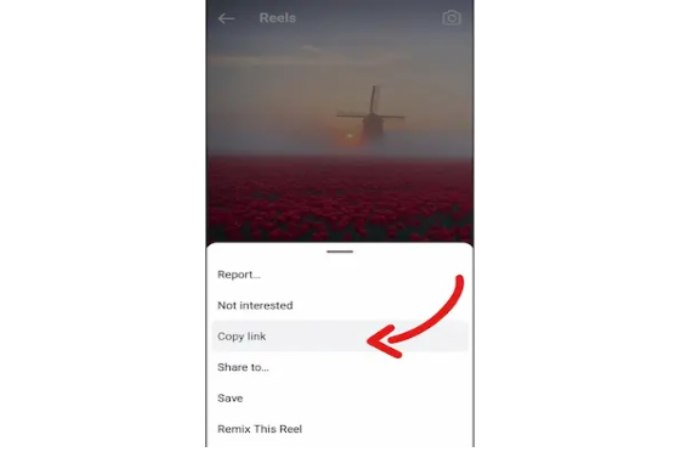 How to Download Instagram Reels Videos Online_