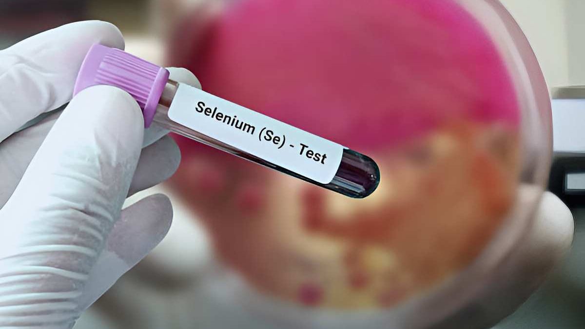Best Practices for Selenium Testing